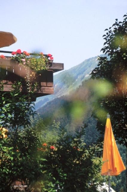 Hotel Adler Garni Hirschegg  Εξωτερικό φωτογραφία